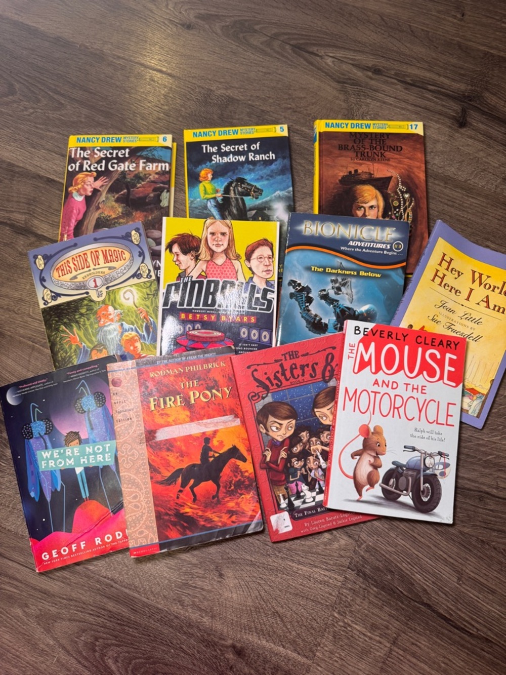 Chapter book bundle